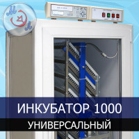 Инкубатор автоматический МИКРОЭЛ ИФ-1000-У-МЭЛ на 1000 яиц Универсальный