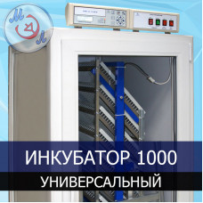 Инкубатор автоматический МИКРОЭЛ ИФ-1000-У-МЭЛ на 1000 яиц Универсальный