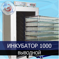 Инкубатор автоматический МИКРОЭЛ ИФ-1000-В-МЭЛ на 1000 яиц Выводной