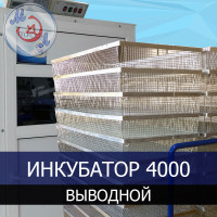 Инкубатор фермерский МИКРОЭЛ ИФ-4000-В-МЭЛ на 4000 яиц Выводной