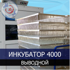 Инкубатор фермерский МИКРОЭЛ ИФ-4000-В-МЭЛ на 4000 яиц Выводной