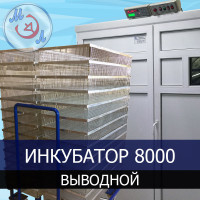 Инкубатор профессиональный МИКРОЭЛ ИФ-8000-В-МЭЛ на 8000 яиц Выводной